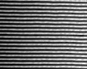 Рис.1 (а)
